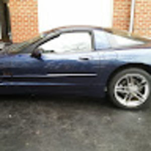 Meet your Posher, Bert